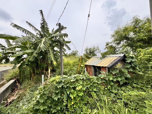 嘉義民雄農地-3