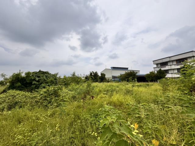 嘉義民雄農地-6