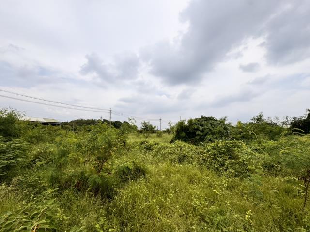 嘉義民雄農地-7