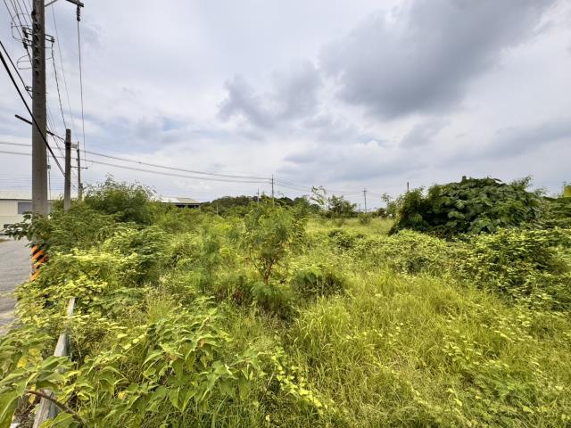 嘉義民雄農地-8