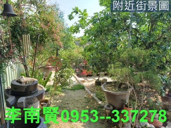 台南麻豆農地-11