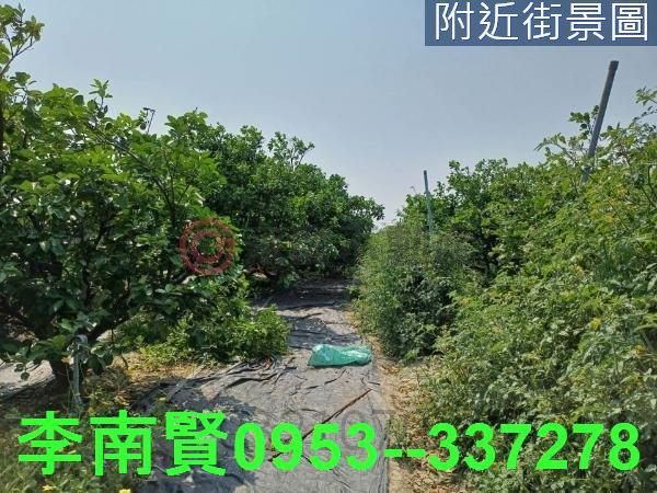 台南麻豆農地-6