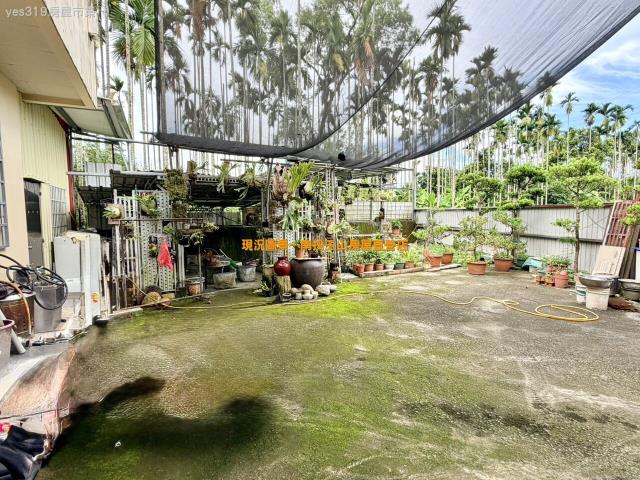 南投中寮農地-5
