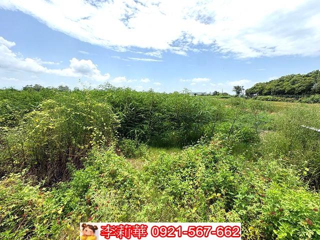 台南善化農地-6
