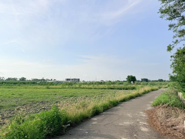 台南麻豆農地-4