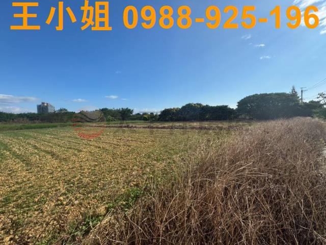 楊梅農地-11