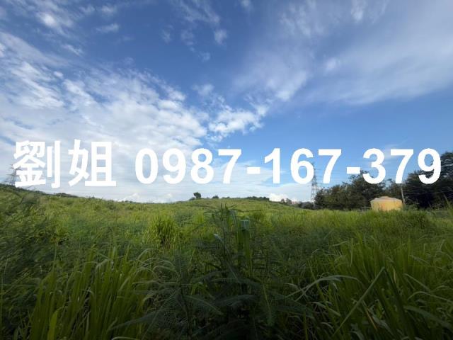 大社農地-0