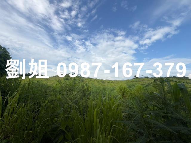 大社農地-1