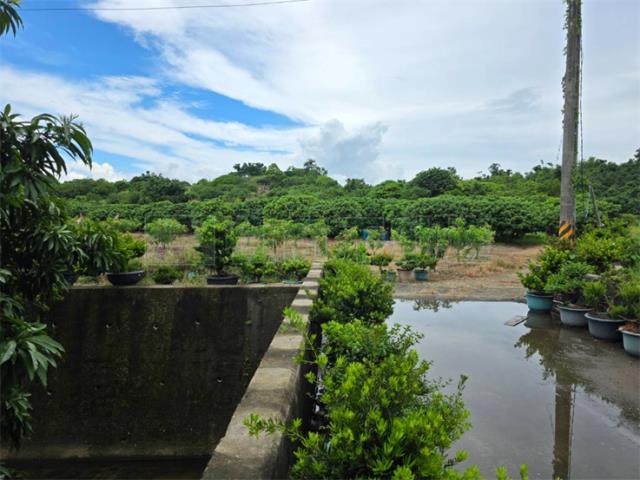 大樹農地-1