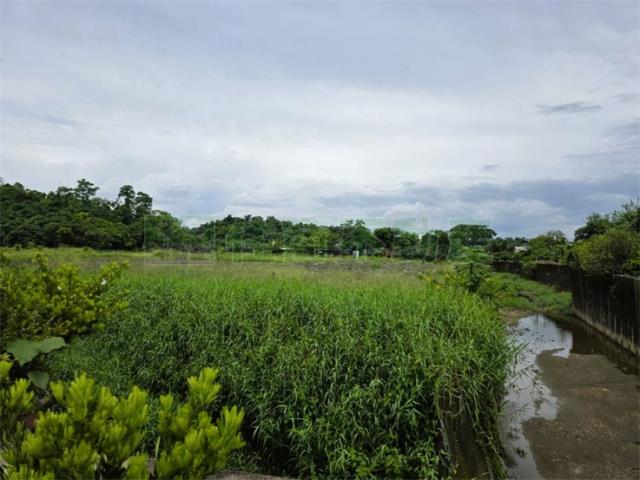 大樹農地-3