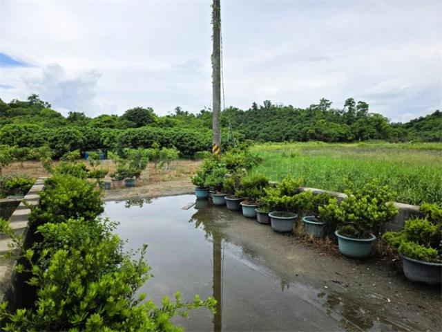 大樹農地-6