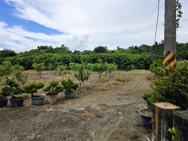 大樹農地-8