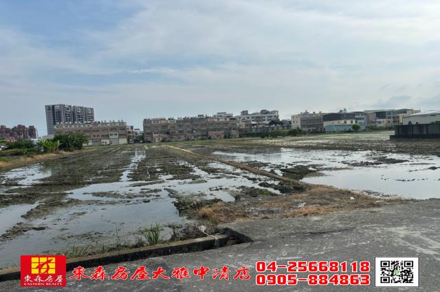 台中農地-2
