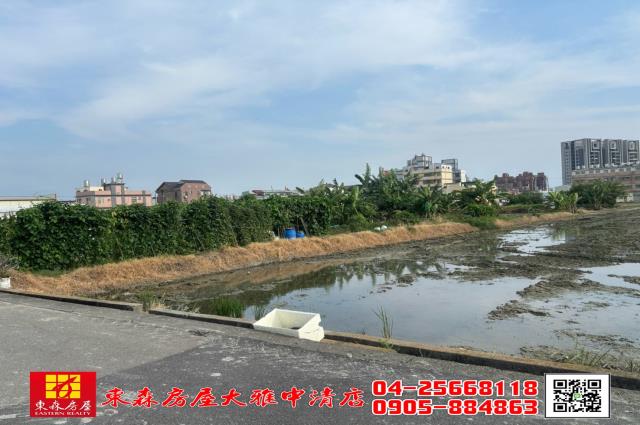 台中農地-3