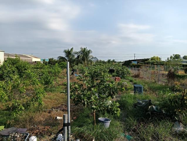 屏東農地-3