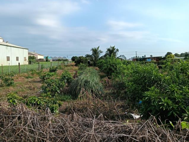 屏東農地-4