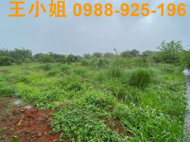 桃園農地-3