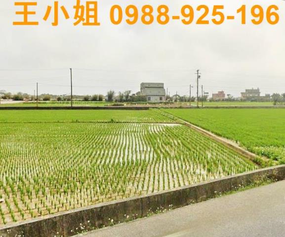 桃園新屋農地-4