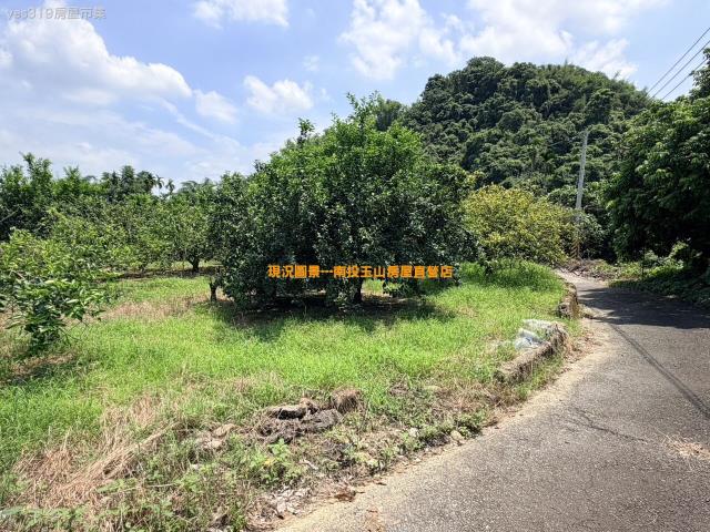 南投中寮農地-10