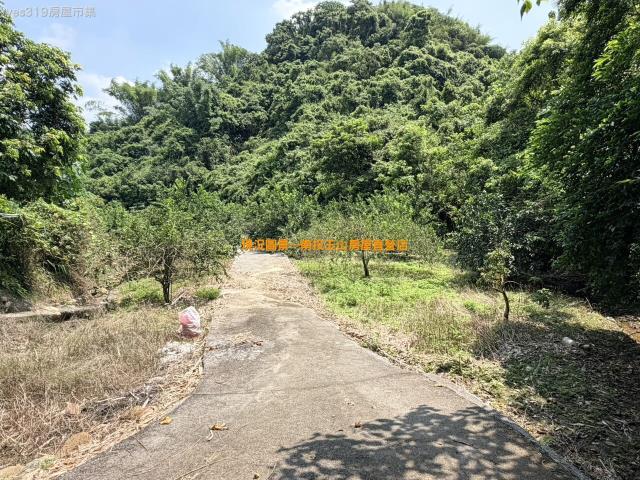 南投中寮農地-11