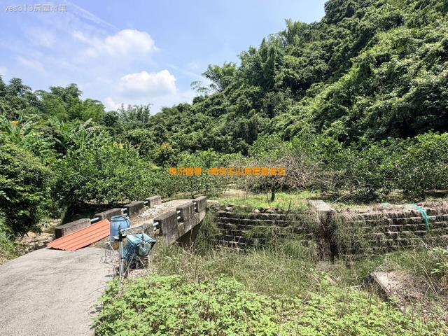 南投中寮農地-8