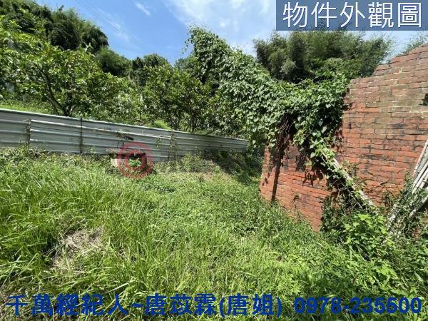 苗栗三灣農地-6