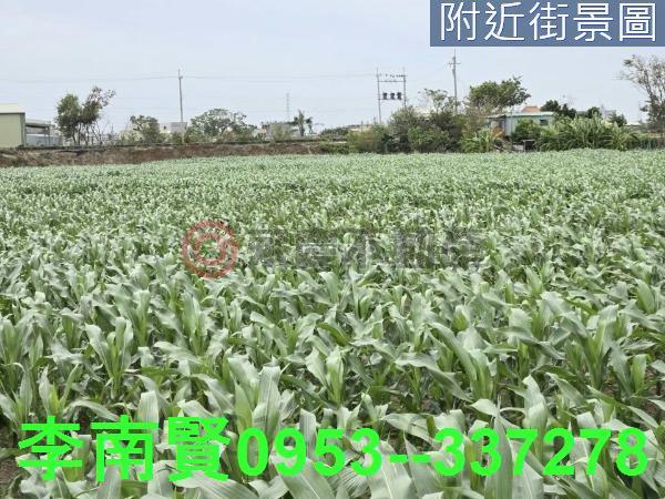 台南學甲農地-12