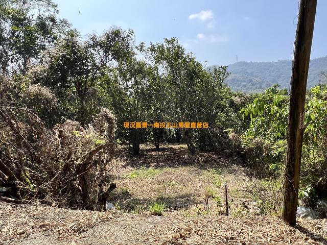 南投鹿谷農地-5