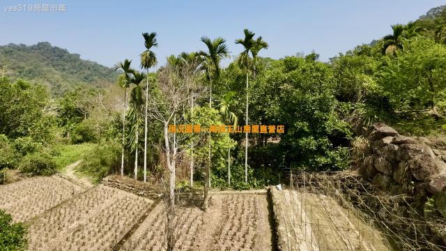 南投鹿谷農地-8