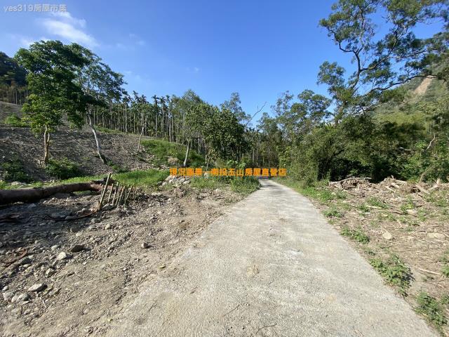 竹山桶頭農地8分5