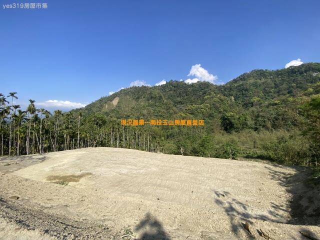 南投竹山農地-3