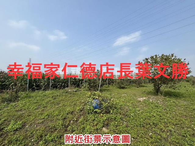 鹽水農地-2