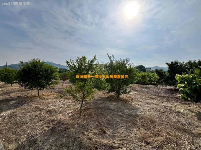 名間農地-5