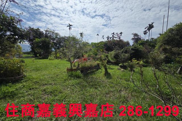 番路農地-13