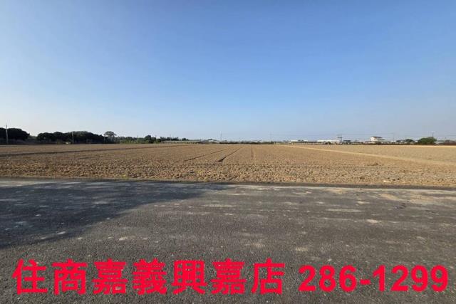 大林農地-11