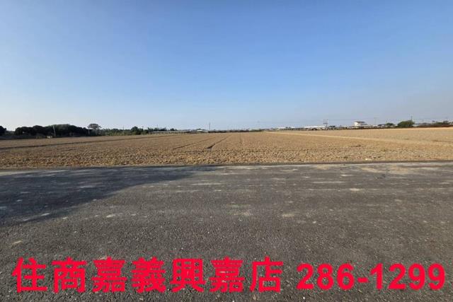 大林農地-12