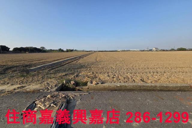 大林農地-14