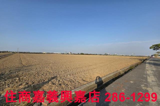 大林農地-15