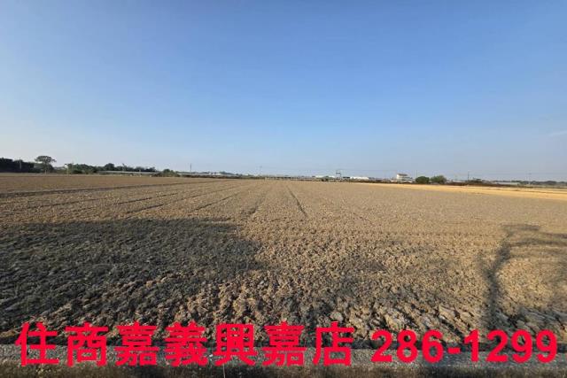 大林農地-9