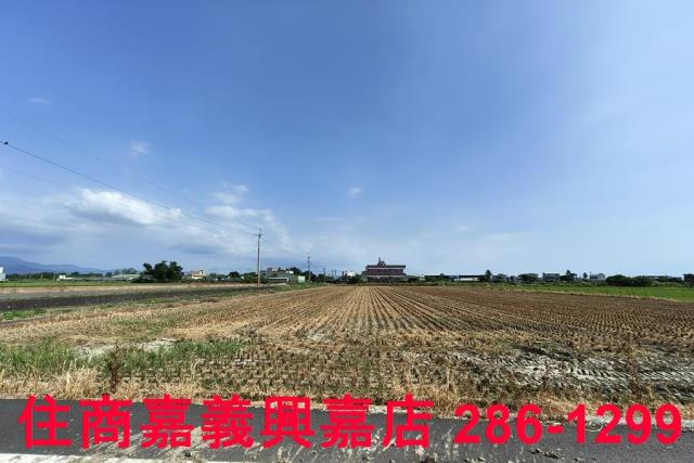 水上農地-9