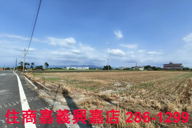 水上農地-13