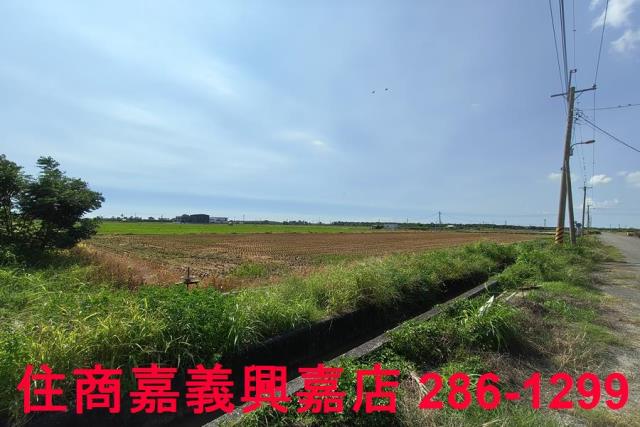 水上農地-4