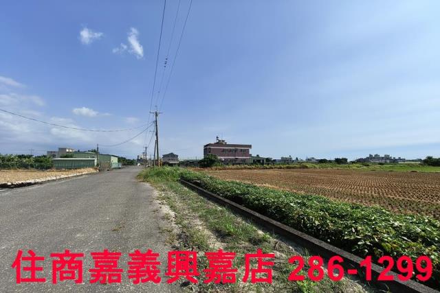 水上農地-7