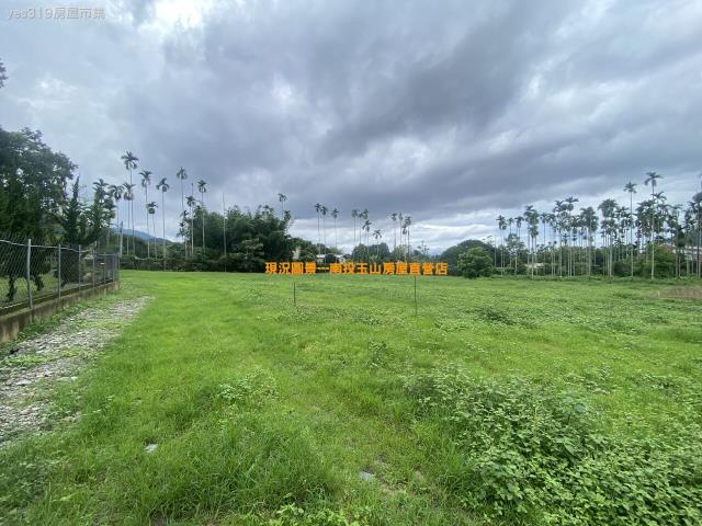 埔里農地-3