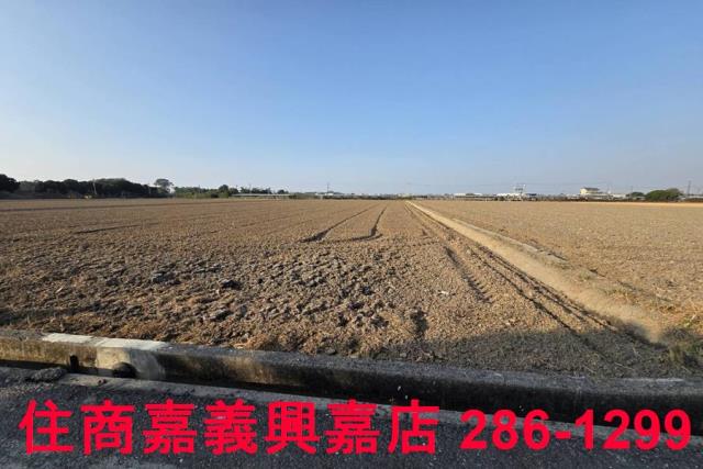 大林農地-3