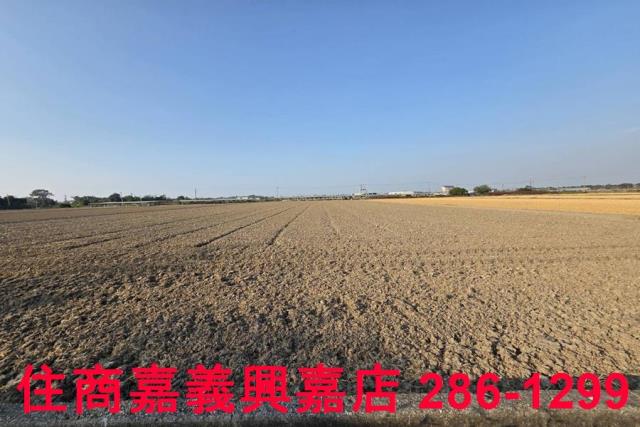 大林農地-5