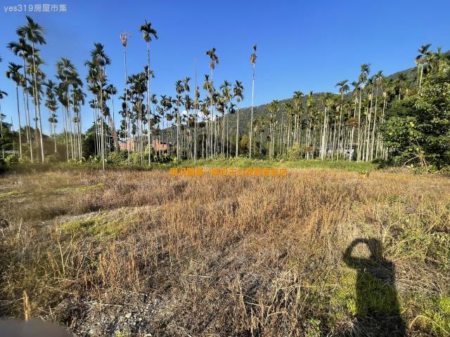 埔里農地-2