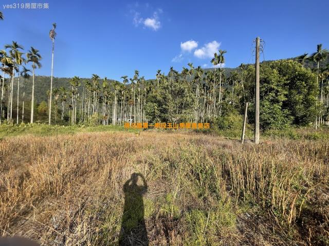 埔里農地-4