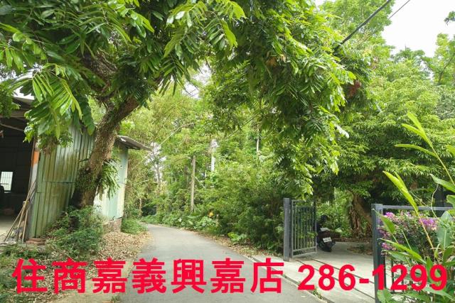 嘉義農地-9