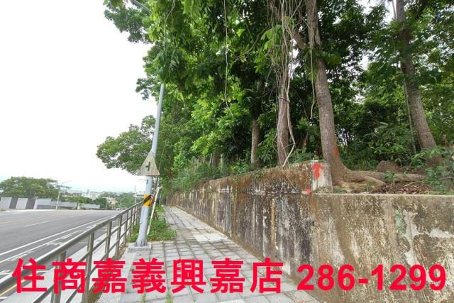 嘉義農地-10